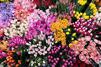 《幻兽帕鲁》开发商Pocketpair正在紧急招聘新员工